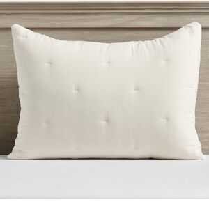 Pottery Barn Teen Super Plush Standard Sham Light Taupe